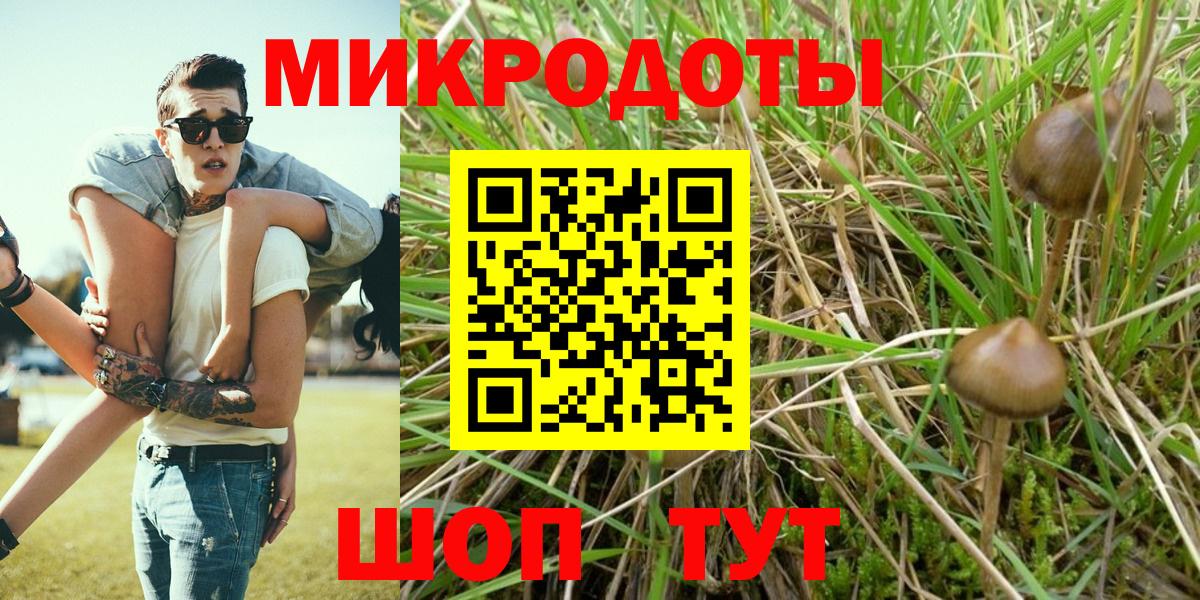 Лесосибирск  Псилоцибиновые грибы мицелий  Галлюциногенные грибы Cubensis  Вход с VPN 