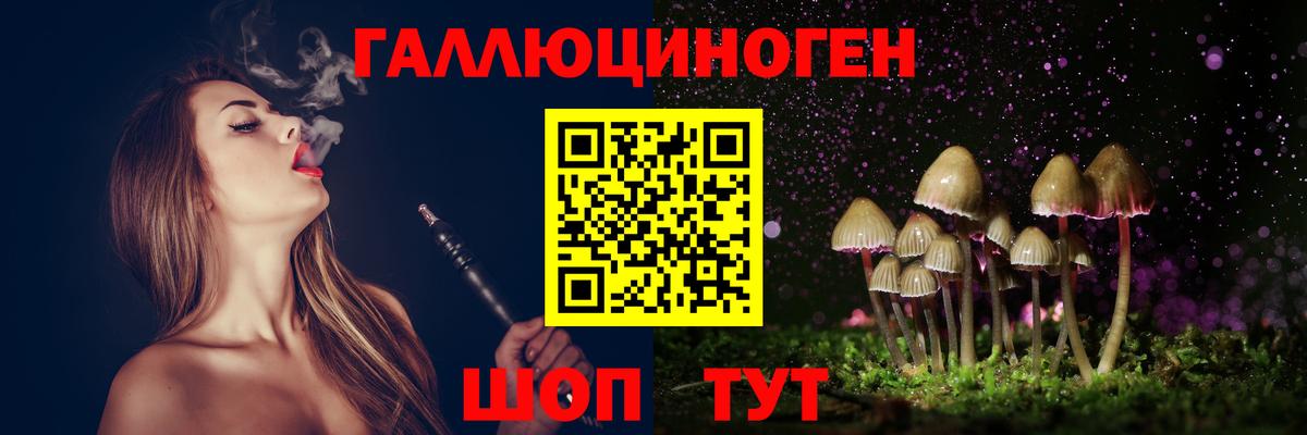 Галлюциногенные грибы Psilocybine cubensis Лесосибирск